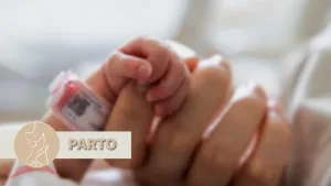 Parto en tijuana